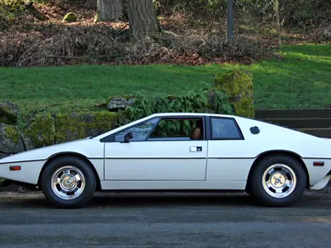 Lotus Esprit S1 chassis 319H registration MTQ 278 and WETNELLIE historical archive photograph 53