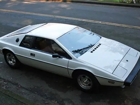Lotus Esprit S1 chassis 319H registration MTQ 278 and WETNELLIE historical archive photograph 49