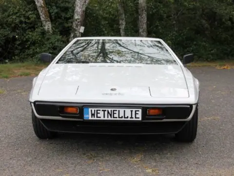Lotus Esprit S1 chassis 319H registration MTQ 278 and WETNELLIE historical archive photograph 30