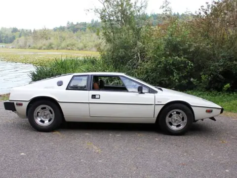 Lotus Esprit S1 chassis 319H registration MTQ 278 and WETNELLIE historical archive photograph 28
