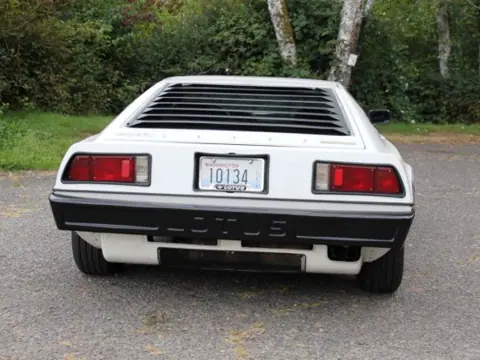 Lotus Esprit S1 chassis 319H registration MTQ 278 and WETNELLIE historical archive photograph 27
