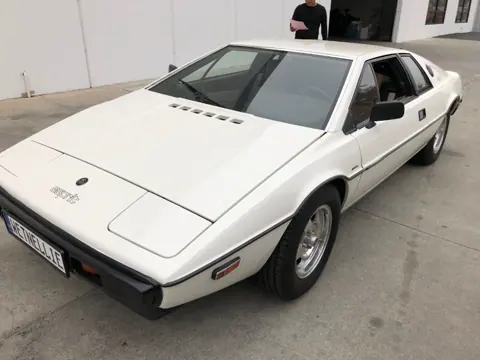 Lotus Esprit S1 chassis 319H registration MTQ 278 and WETNELLIE historical archive photograph 9
