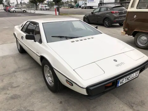 Lotus Esprit S1 chassis 319H registration MTQ 278 and WETNELLIE historical archive photograph 2